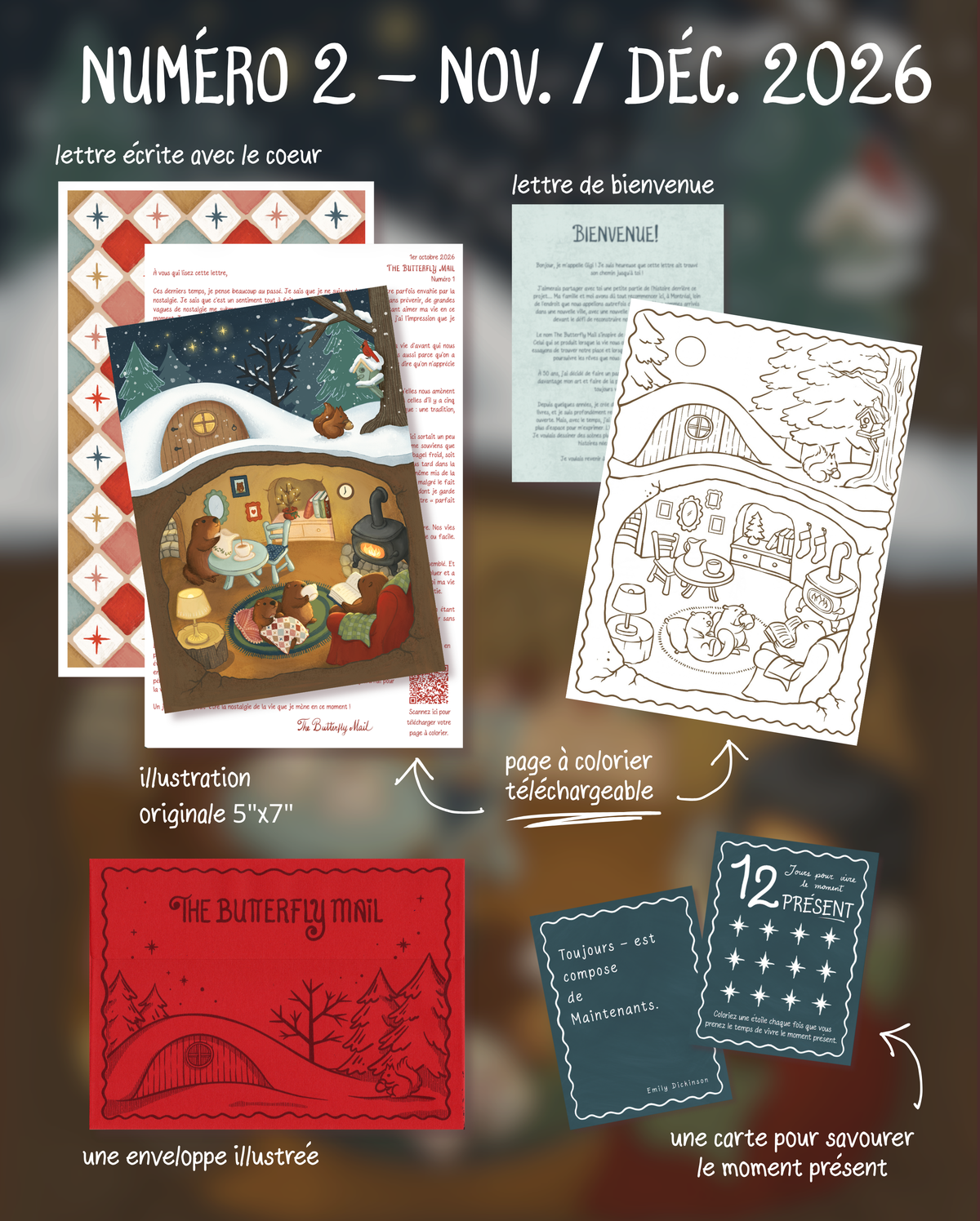 The Butterfly Mail Subscription | French Edition